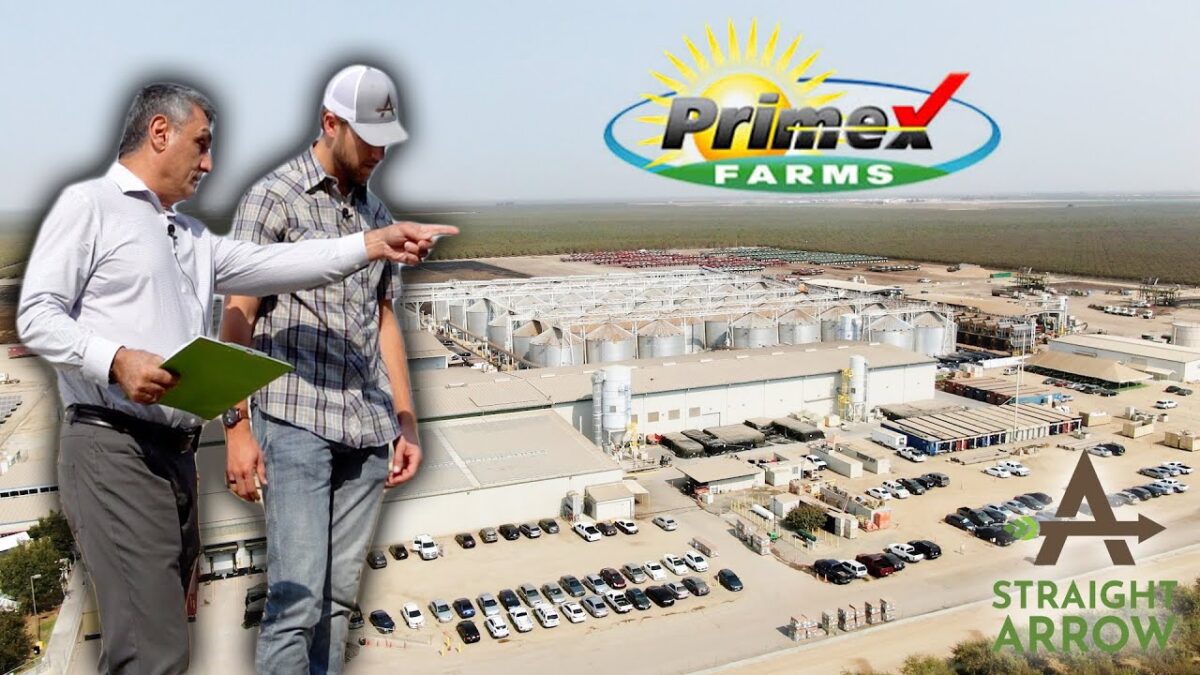 Primex Farms: Premium Pistachio Processing & High-Quality Nuts from California Primex Farms